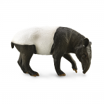 Malayan Tapir