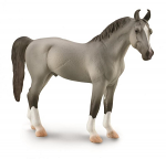 Marwari Stallion Grey