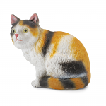 Moggy Cat Sitting