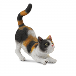 Moggy Cat Stretching