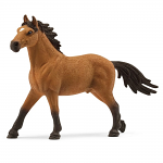 Mustang Stallion Limited Edition