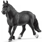 Noriker Stallion