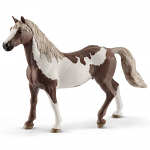 Paint Horse Gelding