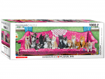 Kitty Cat Couch