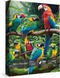 Parrot Paradise
