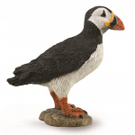 Puffin