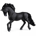Pura Raza Espanola Stallion
