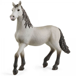 Pura Raza Espanola Young Horse