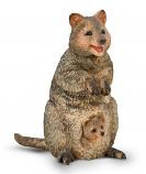 Quokka With Joey