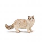 Ragdoll Cat
