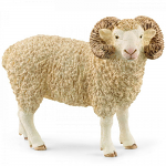 Ram