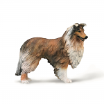Rough Collie