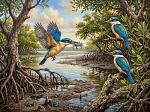 Sacred Kingfishers
