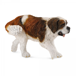 Saint Bernard