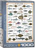Sea Fish