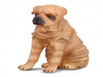 Shar Pei