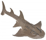 Shark Ray (Bowmouth Guitarfish)