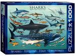 Sharks