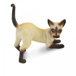 Siamese Cat Stretching