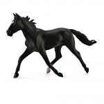 Standard Bred Pacer Stallion Black