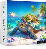 Stranded Turtle