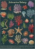 Submarine Botany