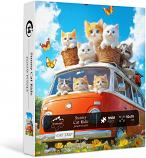 Sunny Cat Ride