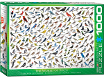 The World Of Birds
