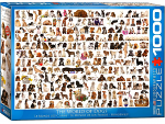 The World Of Dogs 