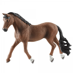 Trakehner Gelding