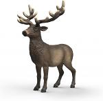 Wapiti Elk