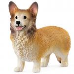 Welsh Corgi