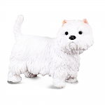 Welsh Highland Terrier
