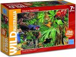 Wild Australia Magical Rainforest