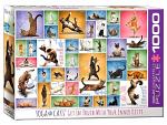 Yoga Cats