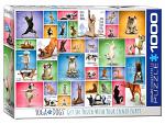 Yoga Dogs