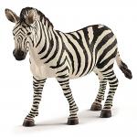 Zebra Female