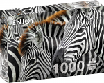 Zebras